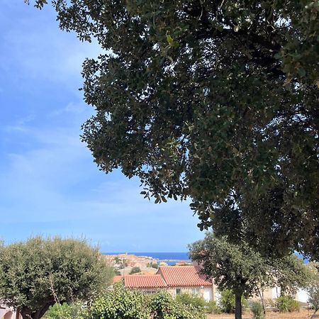 Appartement Rez De Villa LʼÎle-Rousse 외부 사진