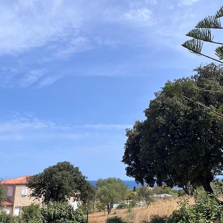 Appartement Rez De Villa LʼÎle-Rousse 외부 사진
