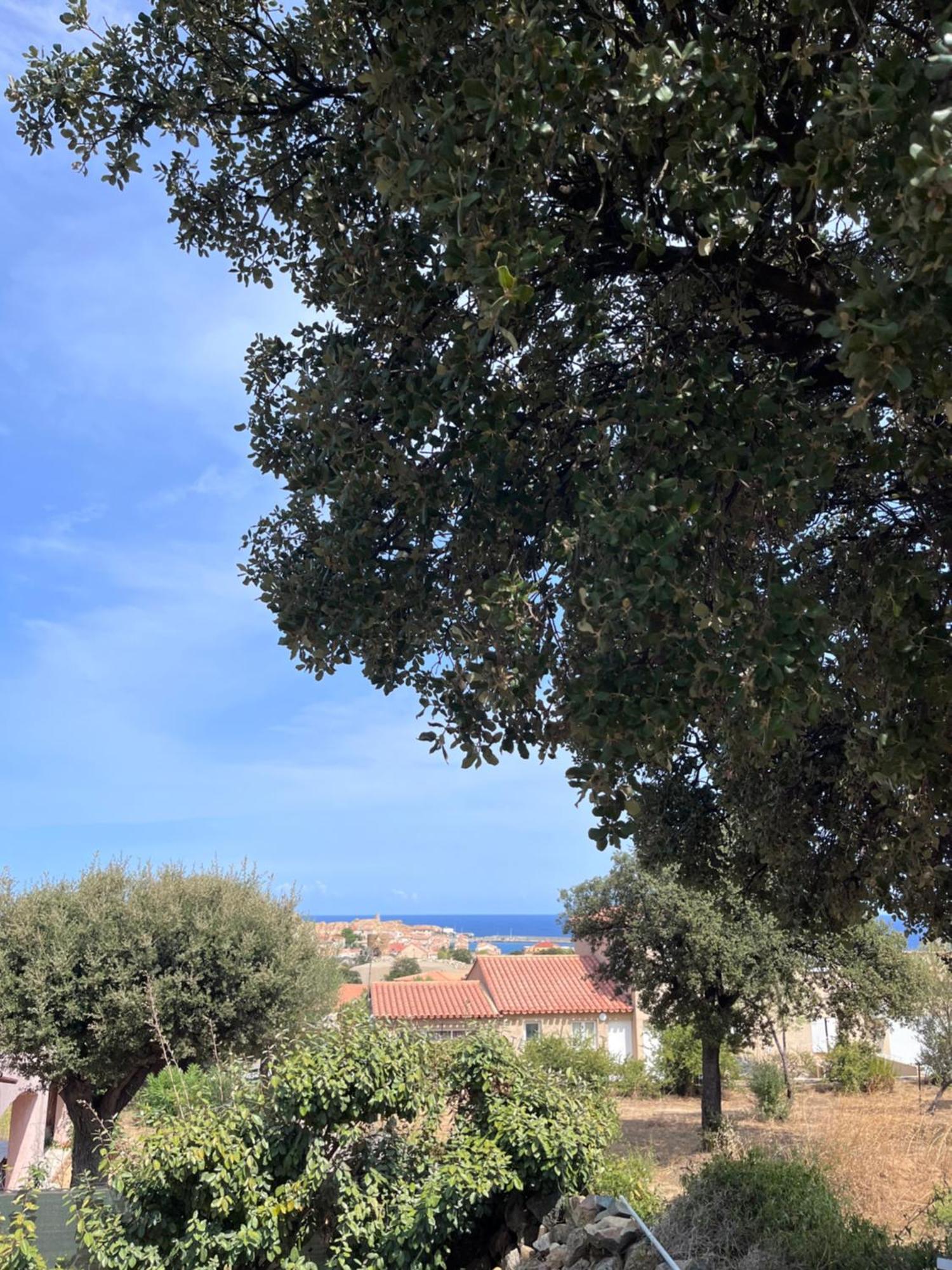 Appartement Rez De Villa LʼÎle-Rousse 외부 사진