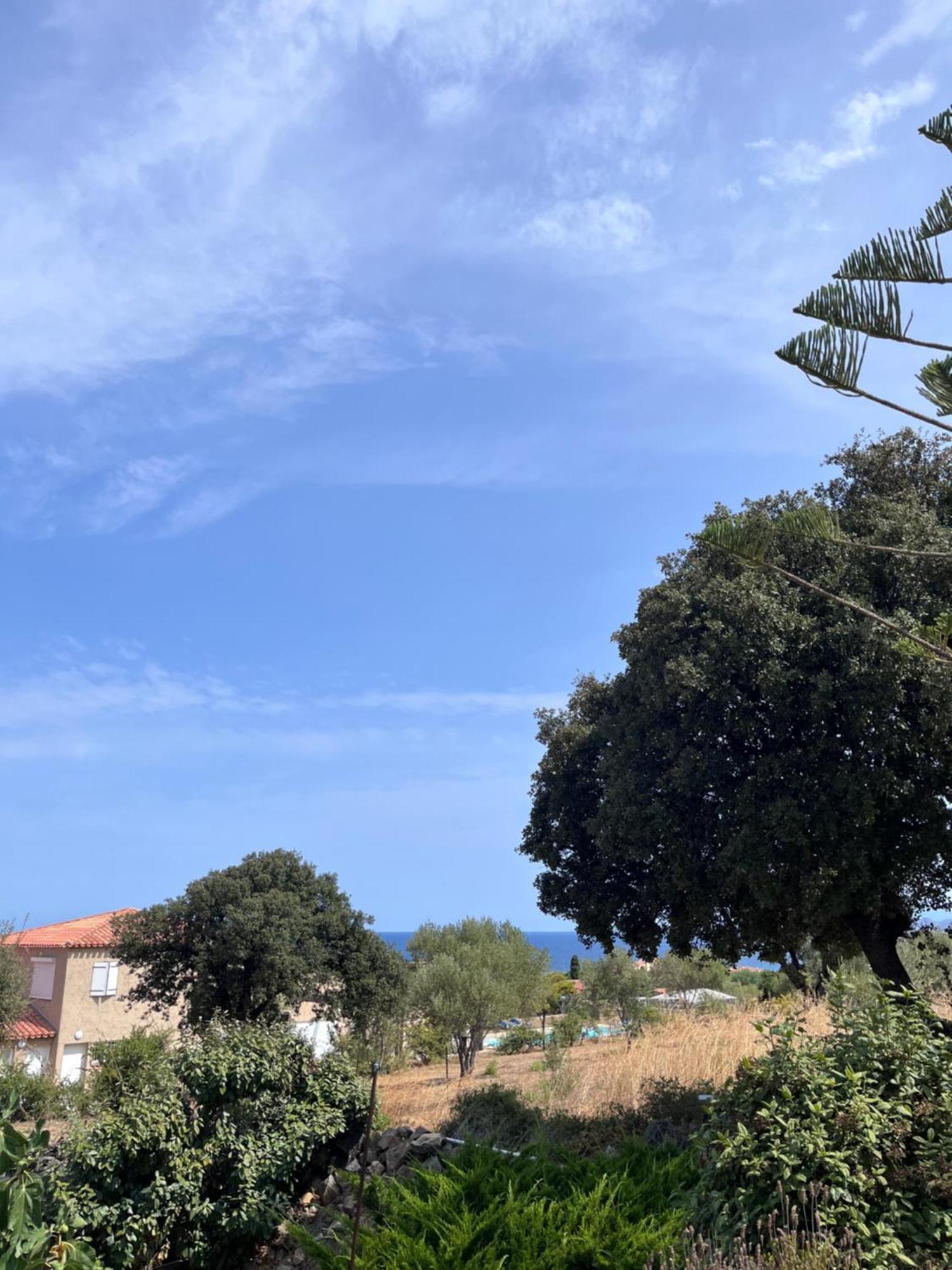 Appartement Rez De Villa LʼÎle-Rousse 외부 사진